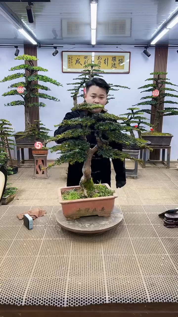 【闪购商品】000000000000