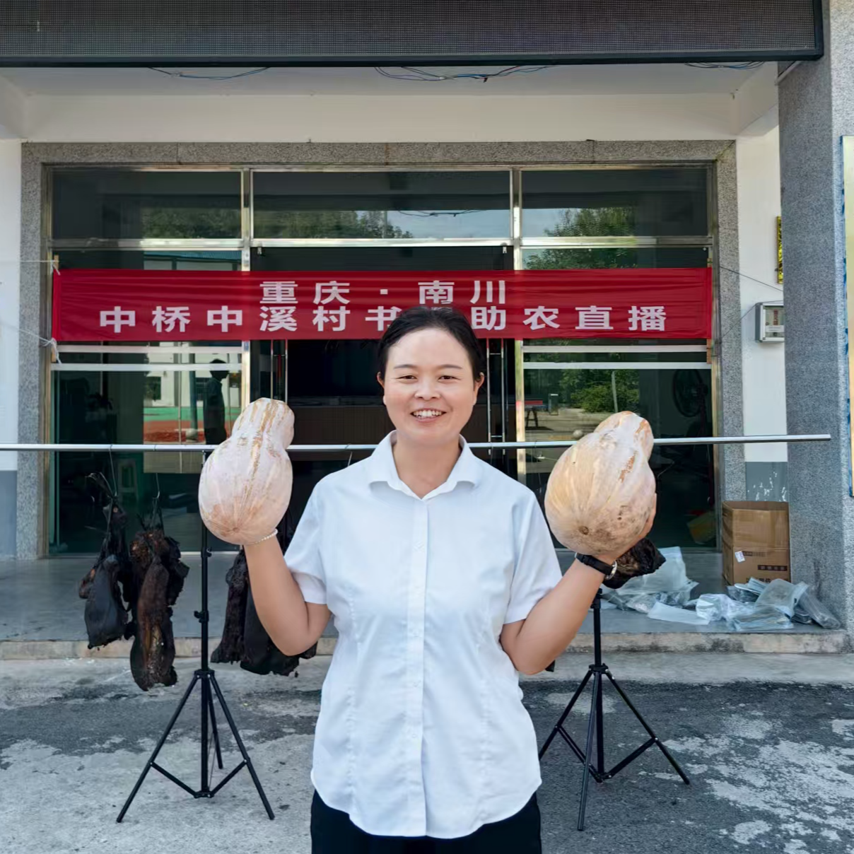 密本老南瓜直播间现场 称重 现场挑选