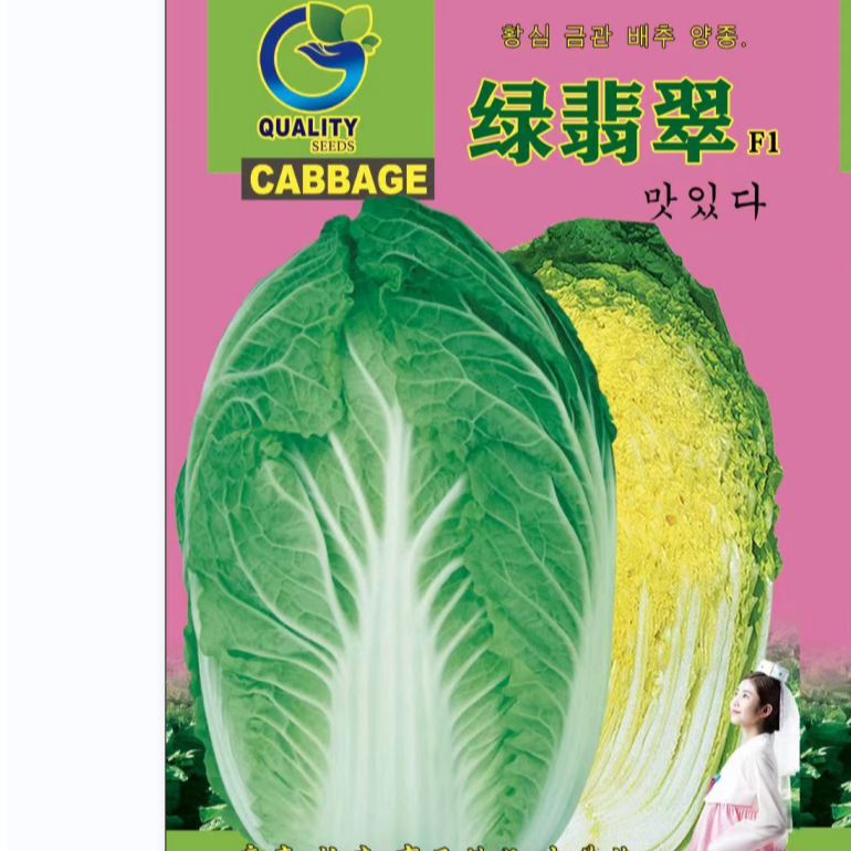绿翡翠  专抗根肿病 8-10斤  抗性强 好吃高品质 中棵黄心菜 