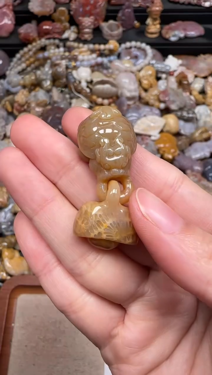 硅化珊瑚（珊瑚玉）未镶嵌颈饰345