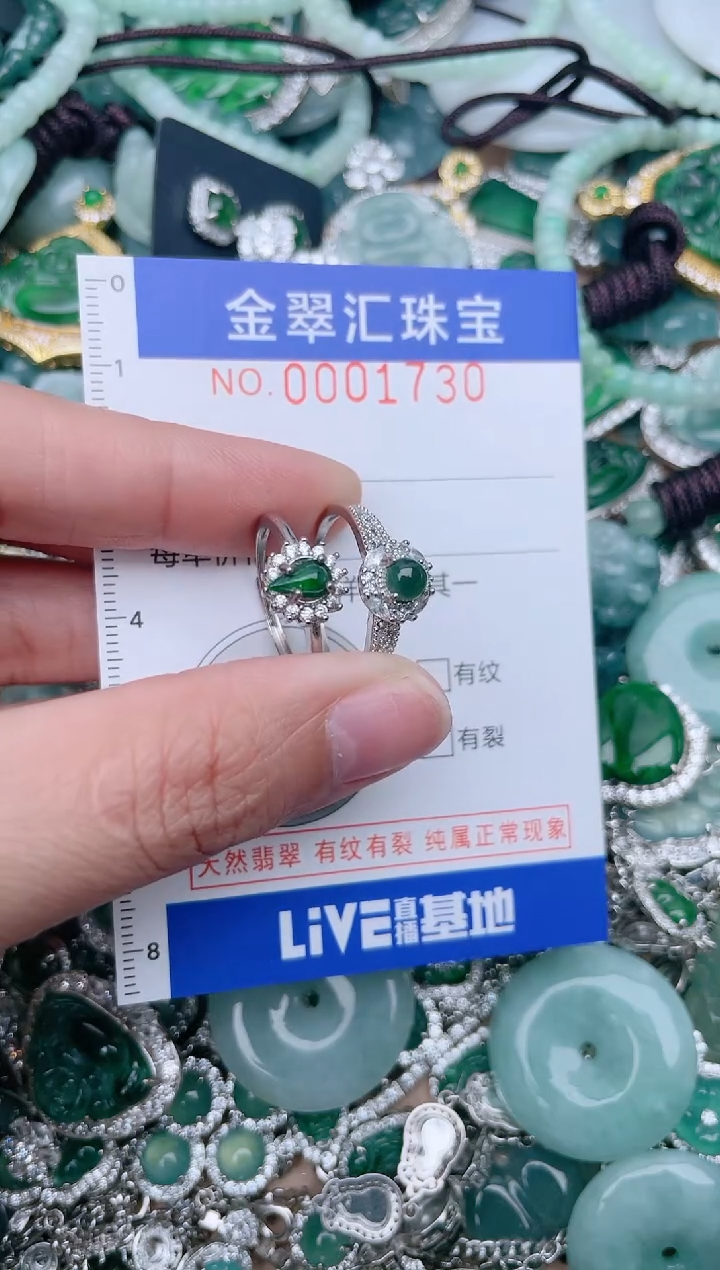 【闪购商品】翡翠颈饰未镶嵌1730.....1