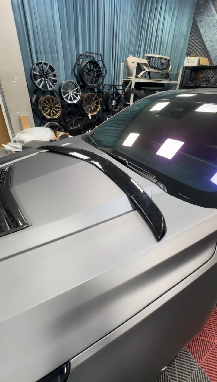 pet铂金一比一 亮黑色尾翼