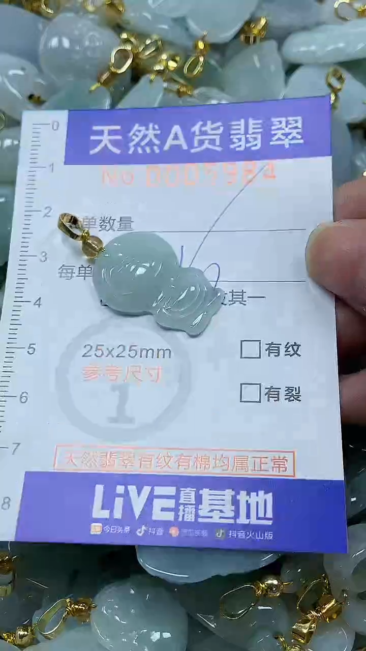 颈饰未镶嵌翡翠纯天然a货翡翠