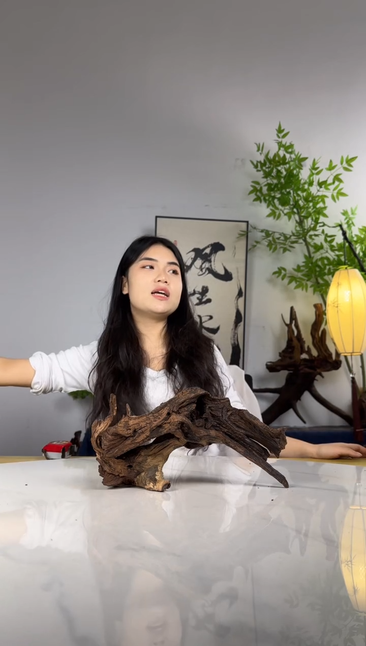 h****娜拍沉木定向链接编号60