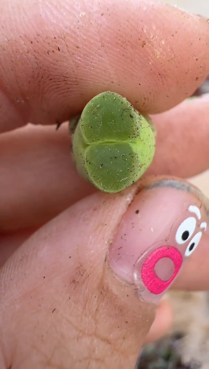 【闪购商品】16-171