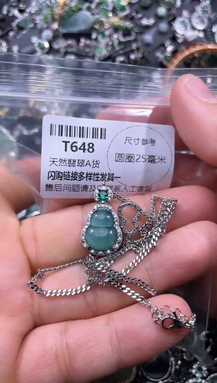 【闪购商品】翡翠颈饰未镶嵌T648项链