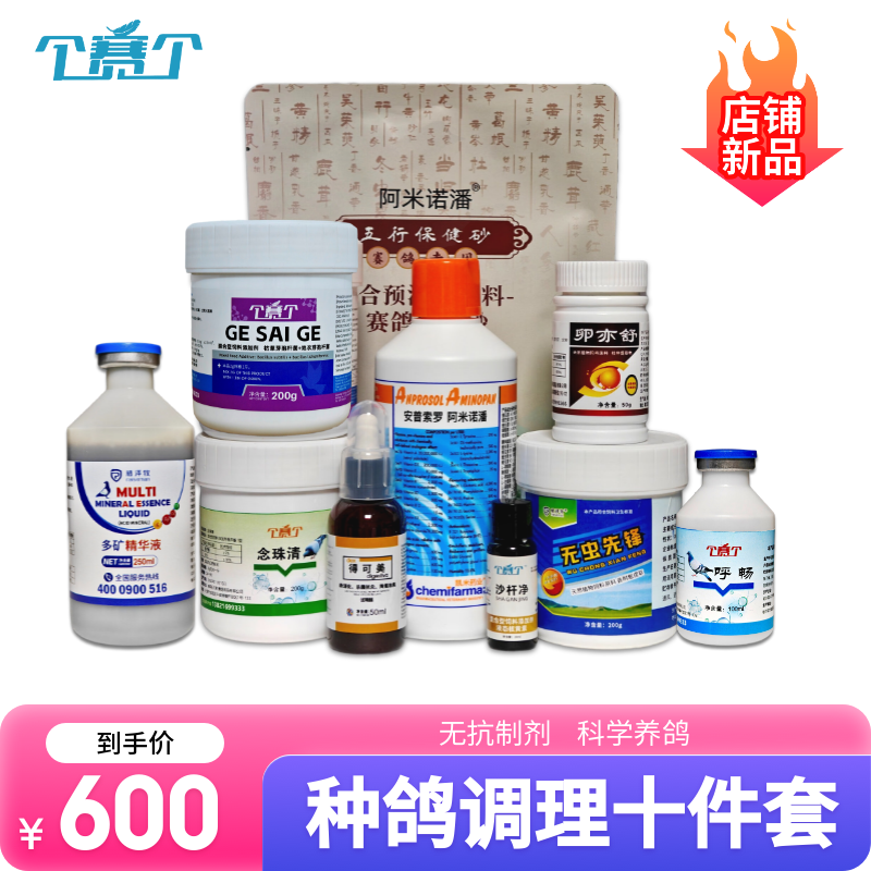 阿米诺潘种鸽整理10件套赛鸽种鸽信鸽