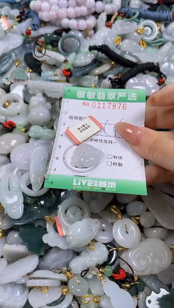 【闪购商品】翡翠颈饰未镶嵌闪购0117876