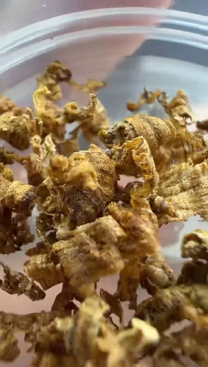 【闪购商品】沉香沉香碎屑越南芽庄大叻勾丝0.5g