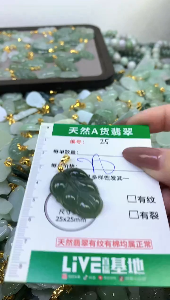 颈饰未镶嵌翡翠纯天然缅甸A货翡翠
