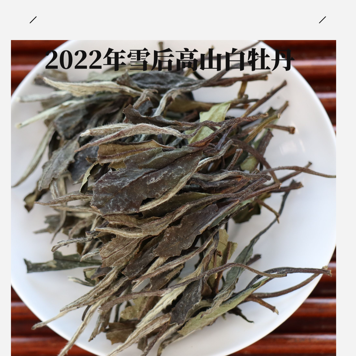 【沛沛好茶】2022年政大牡丹 政和大白茶 白牡丹 花香层次感