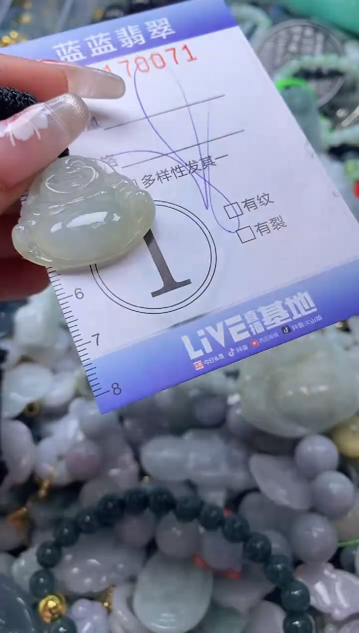 【闪购商品】翡翠颈饰未镶嵌闪购0170071