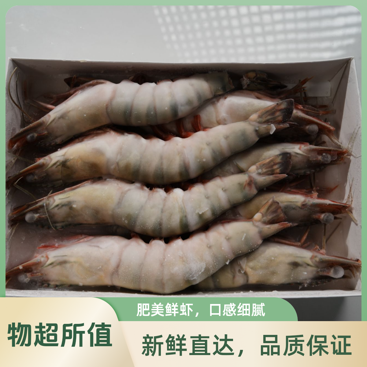 冰鲜黑虎虾1000g/盒/8只大虾