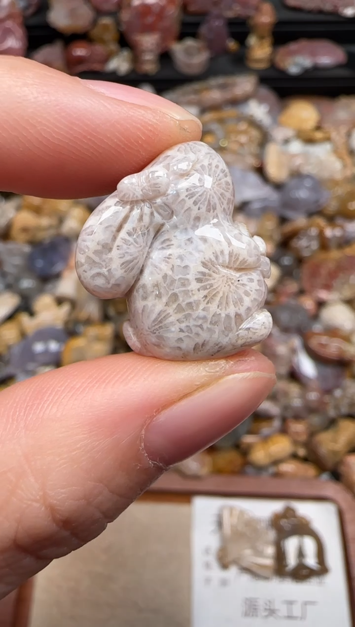 硅化珊瑚（珊瑚玉）未镶嵌颈饰205