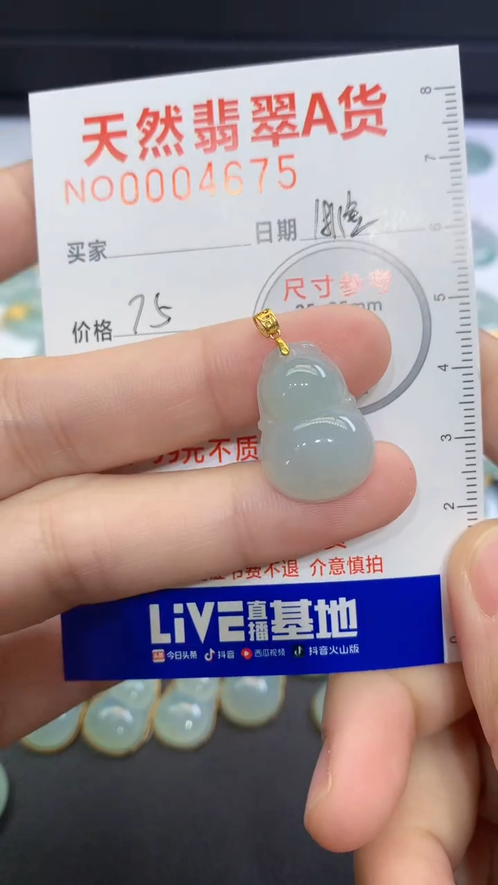 【闪购商品】翡翠颈饰未镶嵌翡翠