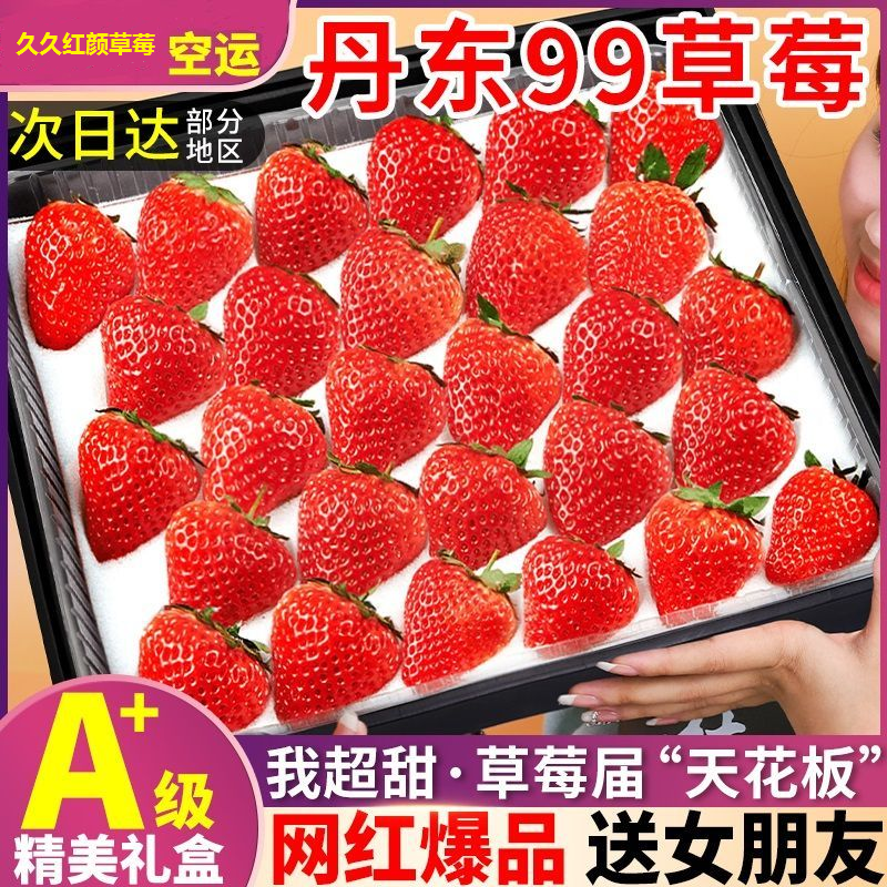 【顺丰包邮】正宗丹东九九草莓鲜果 坏果包赔 礼盒装 净重1200g99红颜辽宁省