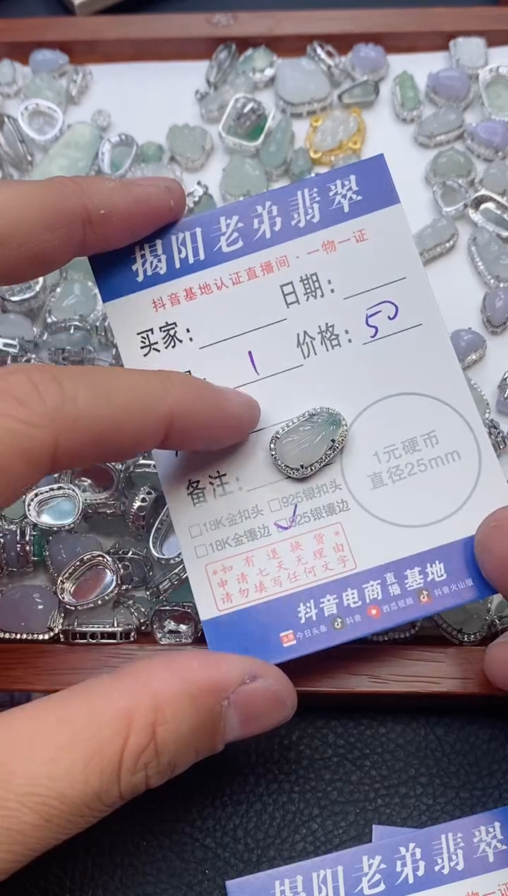 【闪购商品】翡翠颈饰银S925镶嵌多样性发其中一件