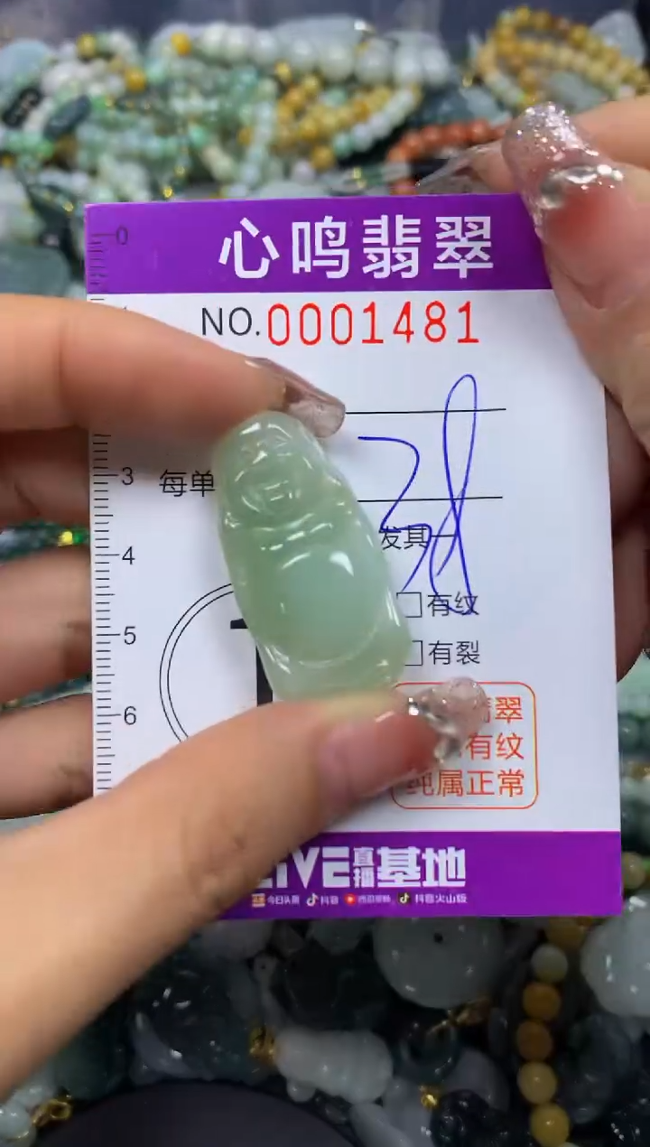 【闪购商品】翡翠颈饰未镶嵌闪购001481