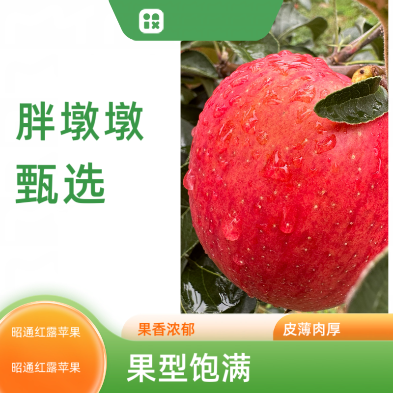 【胖墩墩推荐】云南昭通冰糖心丑苹果红露