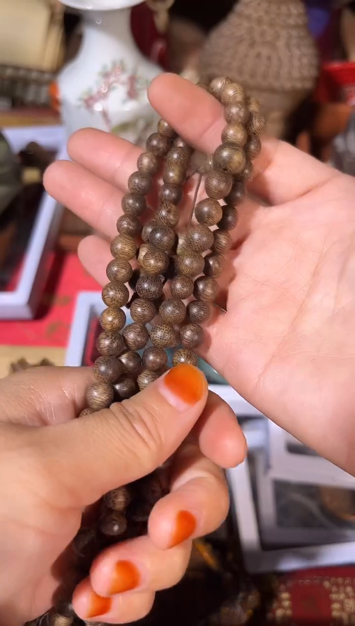 黄杨木1111111111111111