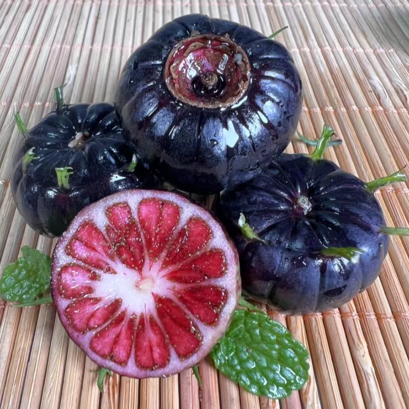 【陈氏阳光】云南马关红果参水果当季新鲜采摘2盒装*125克