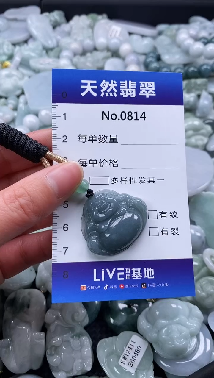 【闪购商品】翡翠颈饰未镶嵌缅甸A货翡翠0814