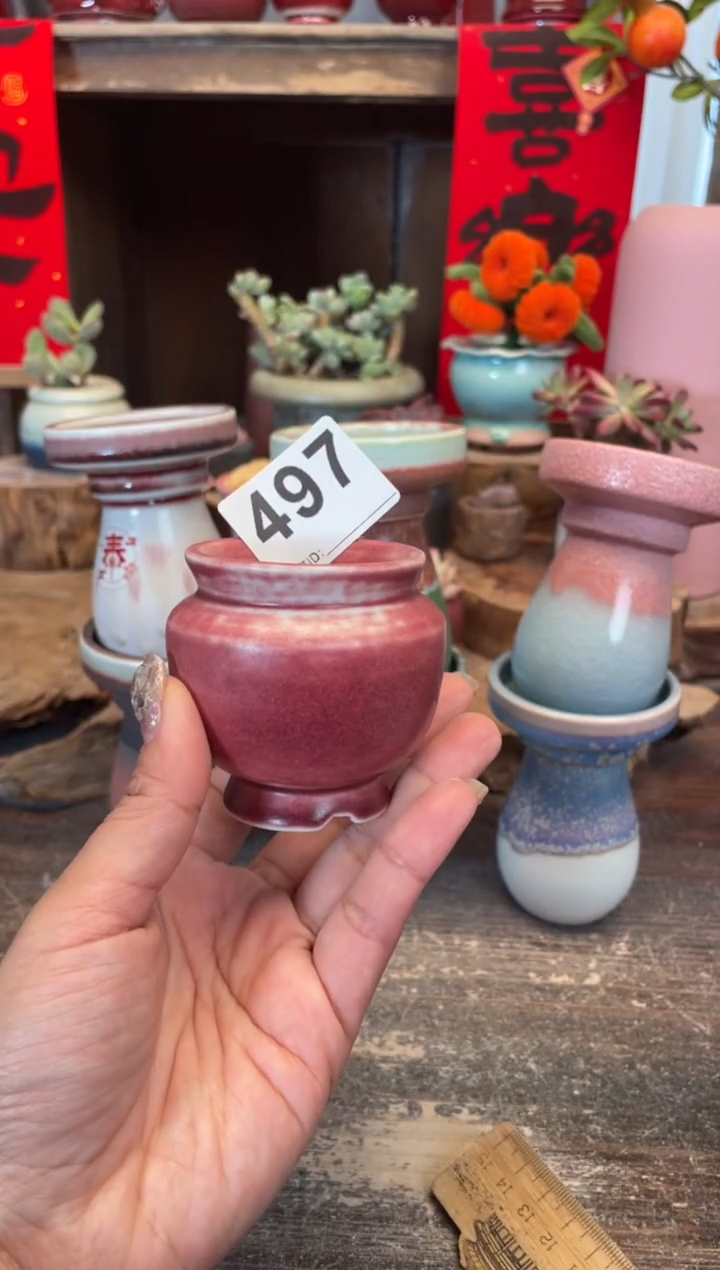 【闪购商品】摆件497知木小芳花盆