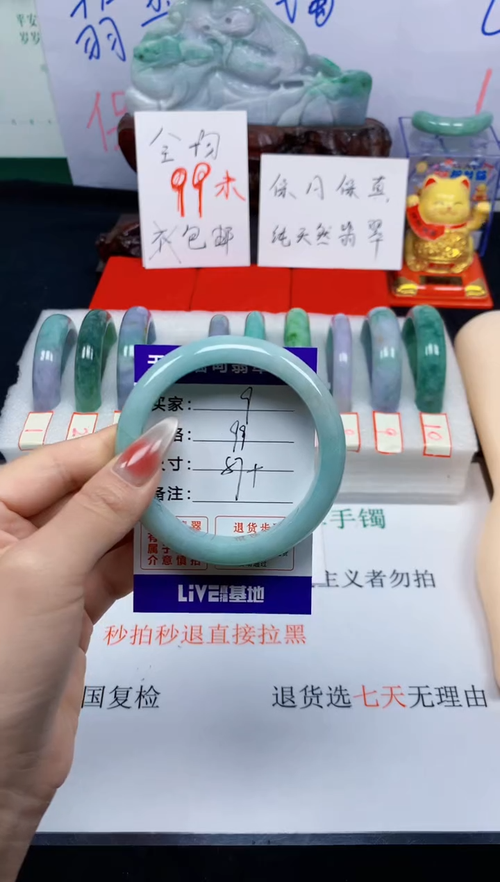 未镶嵌手镯翡翠9