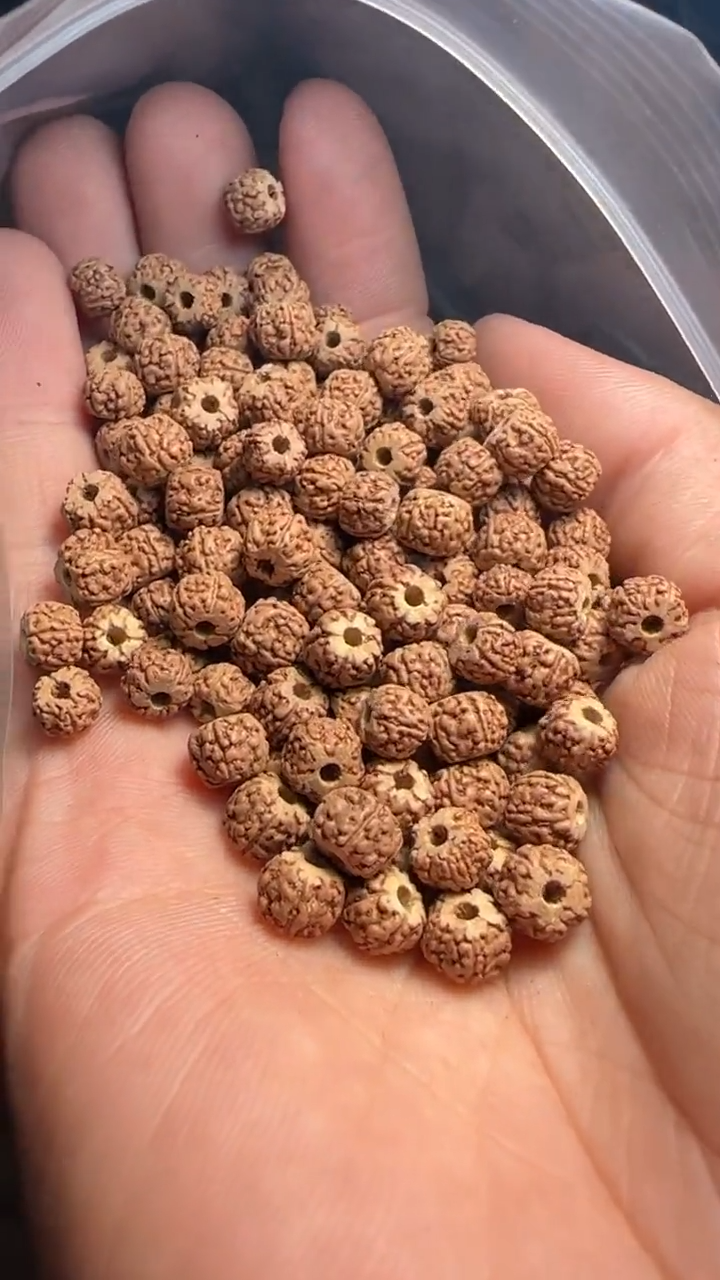 金刚菩提手串非全品龙切一代龙散籽6-7mm一份一百颗