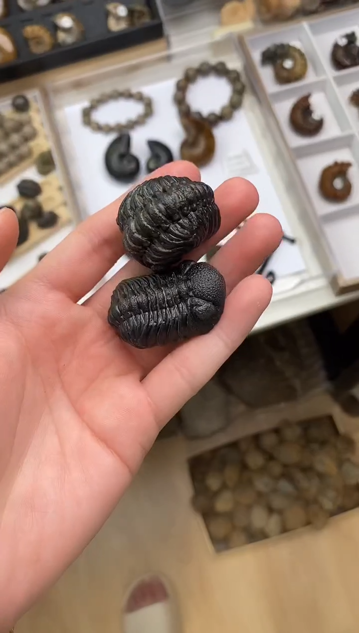 美摆件创意礼物家居配饰新年礼物个人收藏