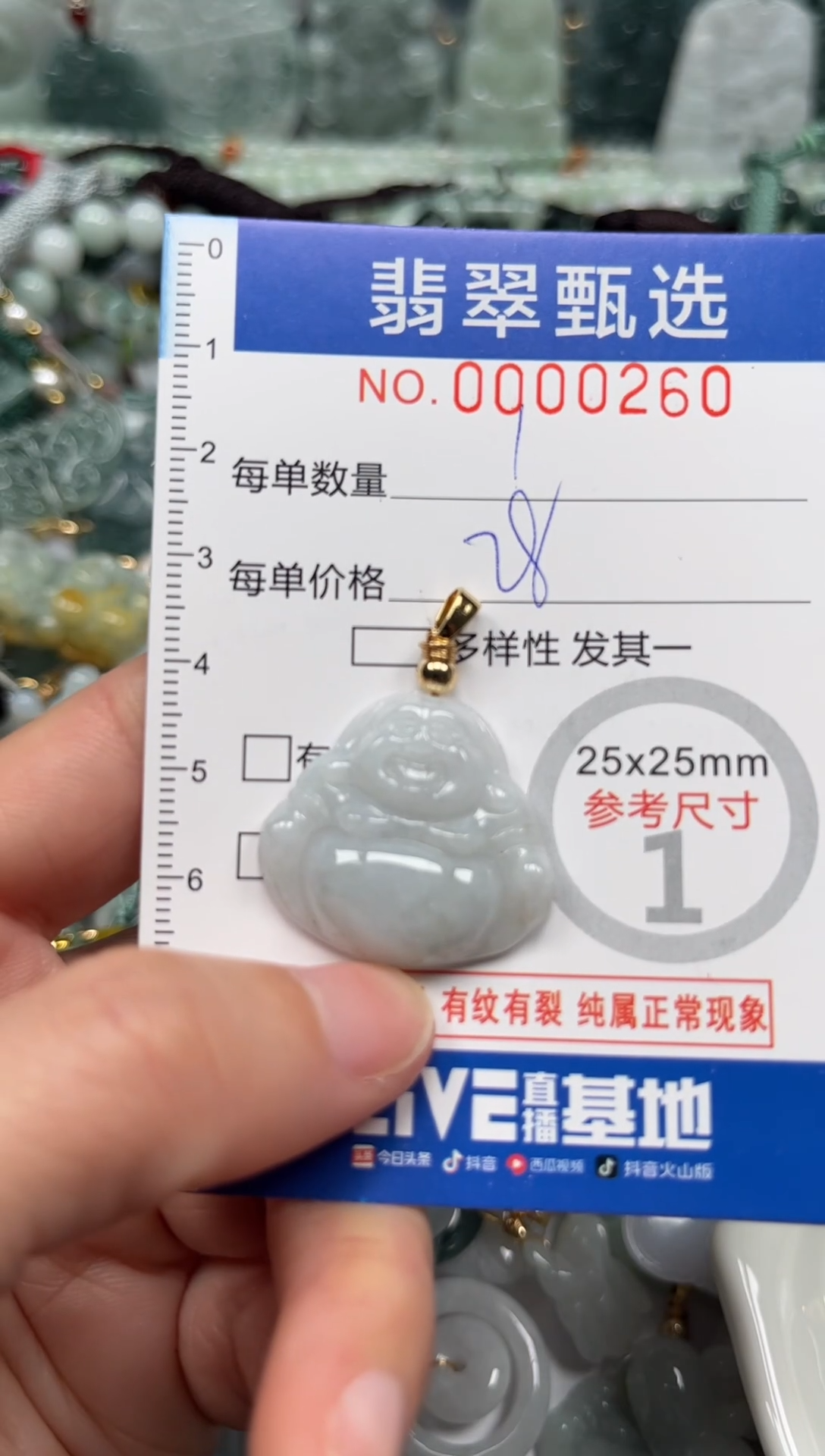 【闪购商品】翡翠颈饰未镶嵌00..0260