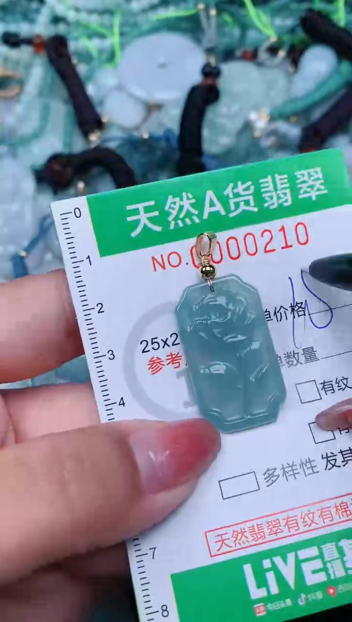 【闪购商品】翡翠颈饰未镶嵌.0000210