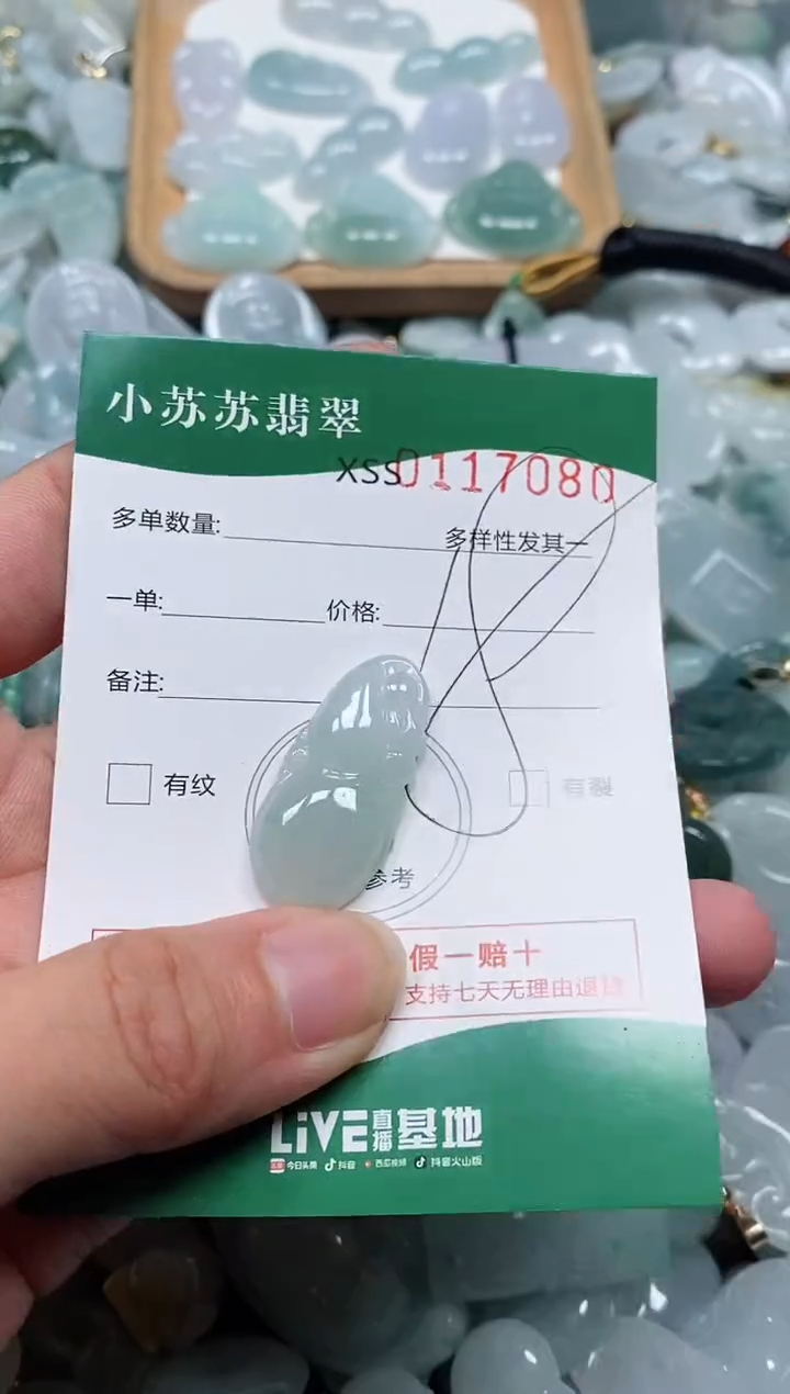 【闪购商品】翡翠颈饰未镶嵌闪购商品0117080