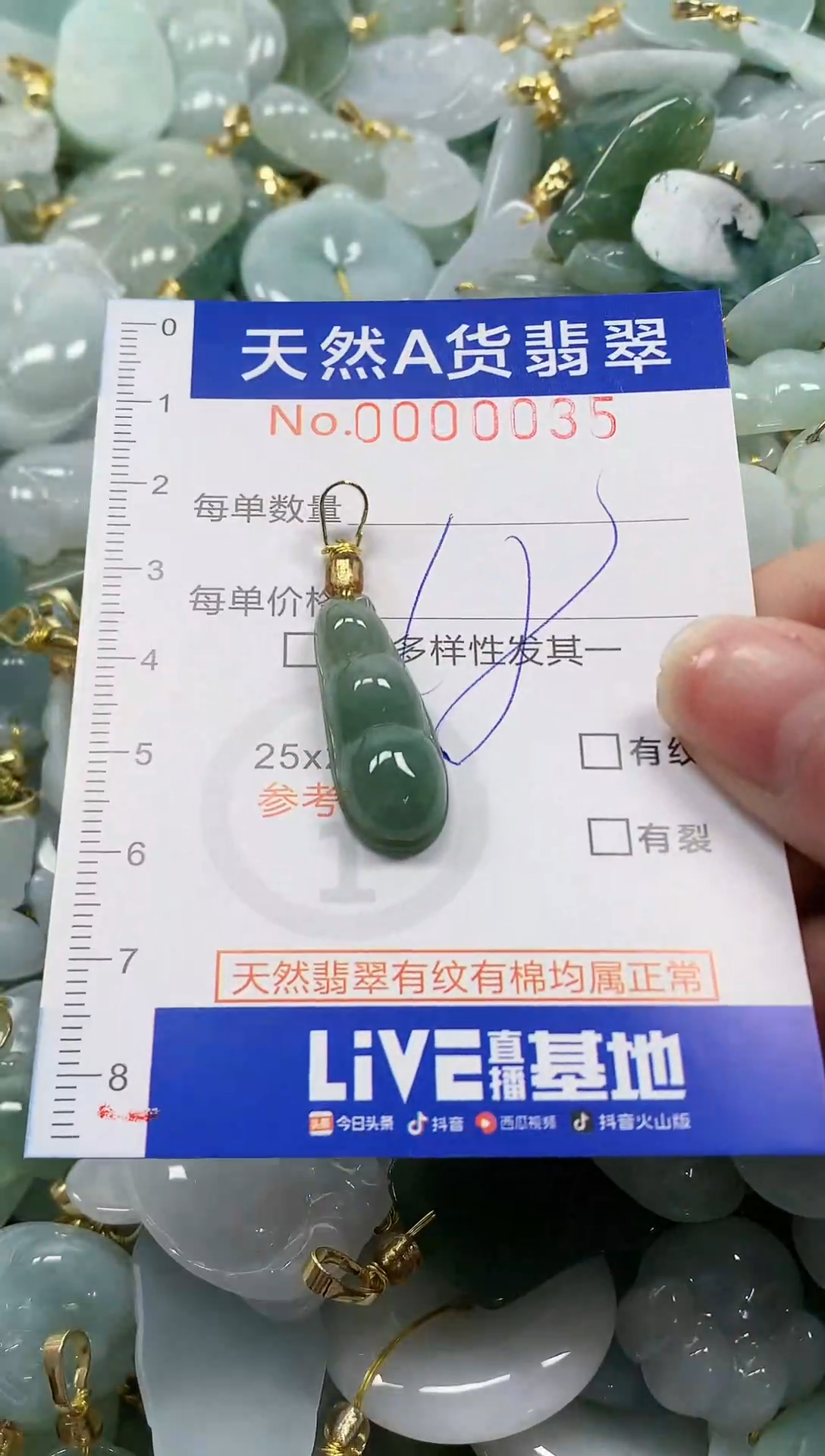 颈饰未镶嵌翡翠纯天然a货翡翠