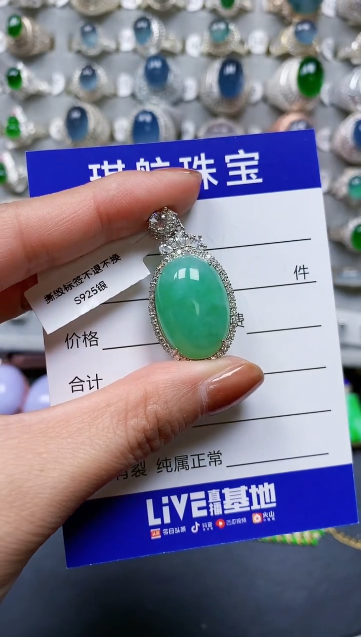 【闪购商品】翡翠颈饰银S925镶嵌0362