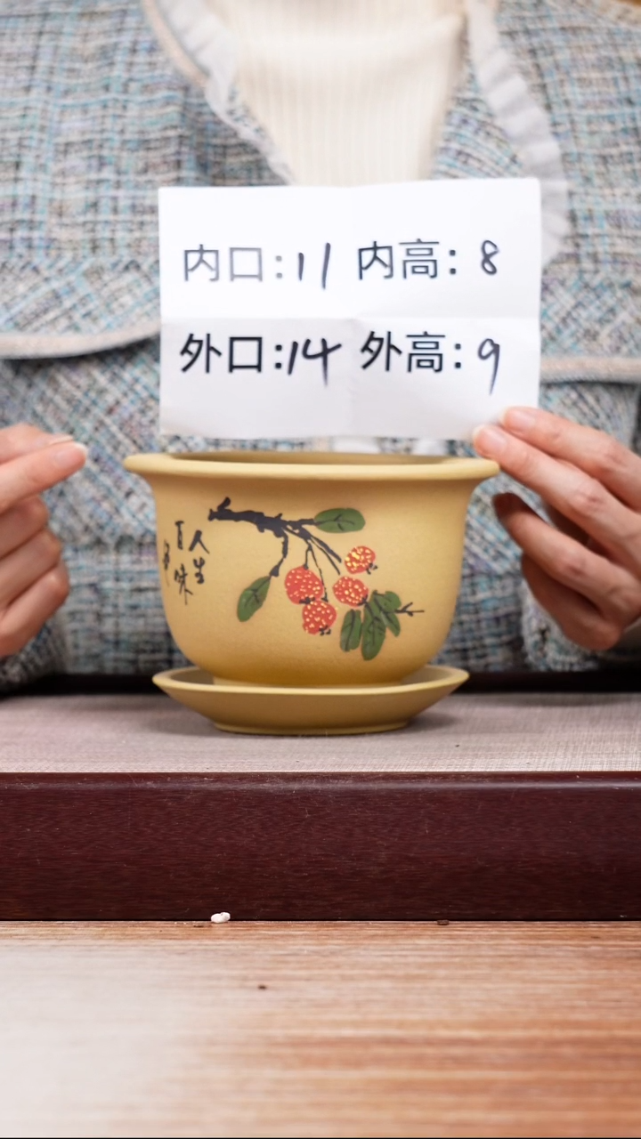 紫砂花盆段泥绘山楂迷你矮圆盆一只带色差托盘