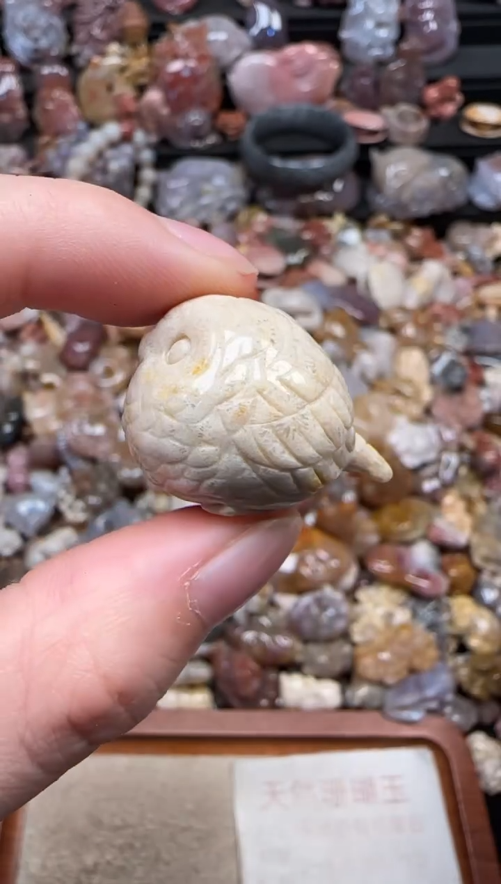 颈饰未镶嵌硅化珊瑚（珊瑚玉）025