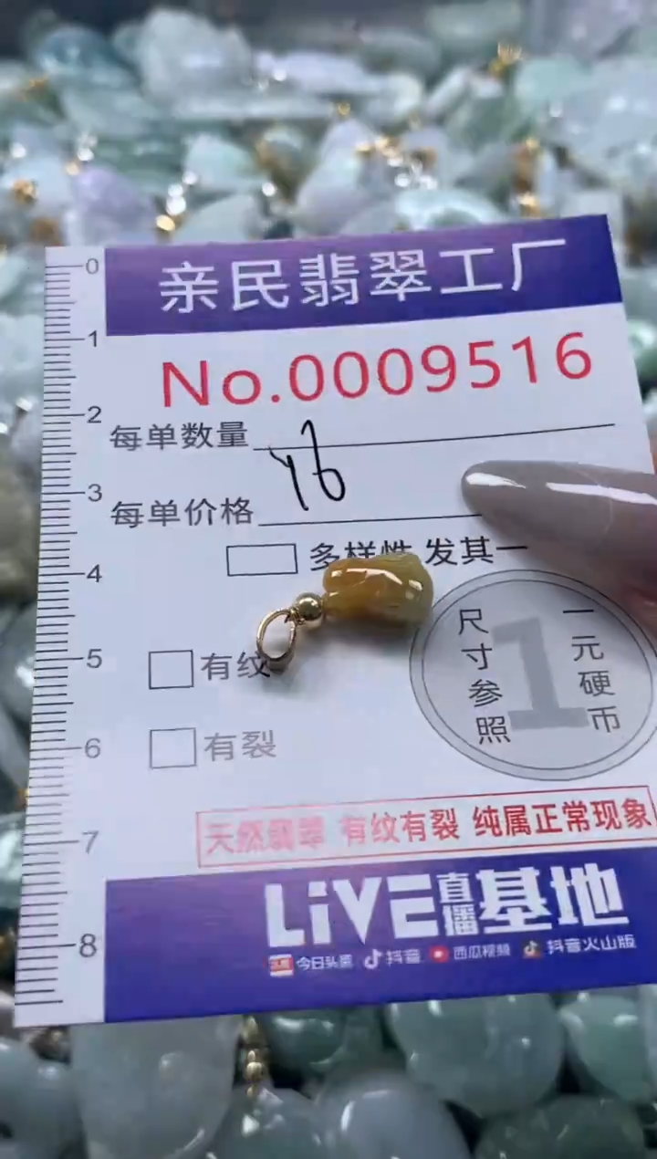 颈饰未镶嵌翡翠9516