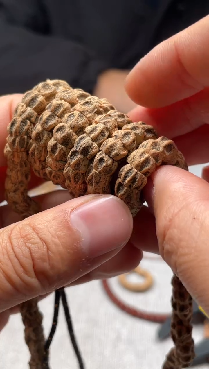 手串金刚菩提百香籽肠8