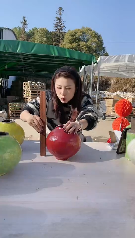 【闪购商品】陶瓷景德镇手工陶瓷推