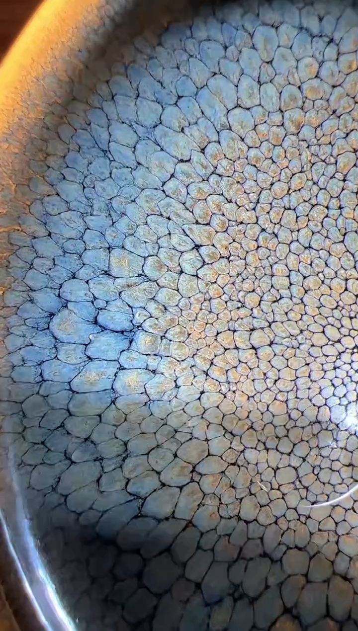 茶盏盏届南贤北达童贤亮16