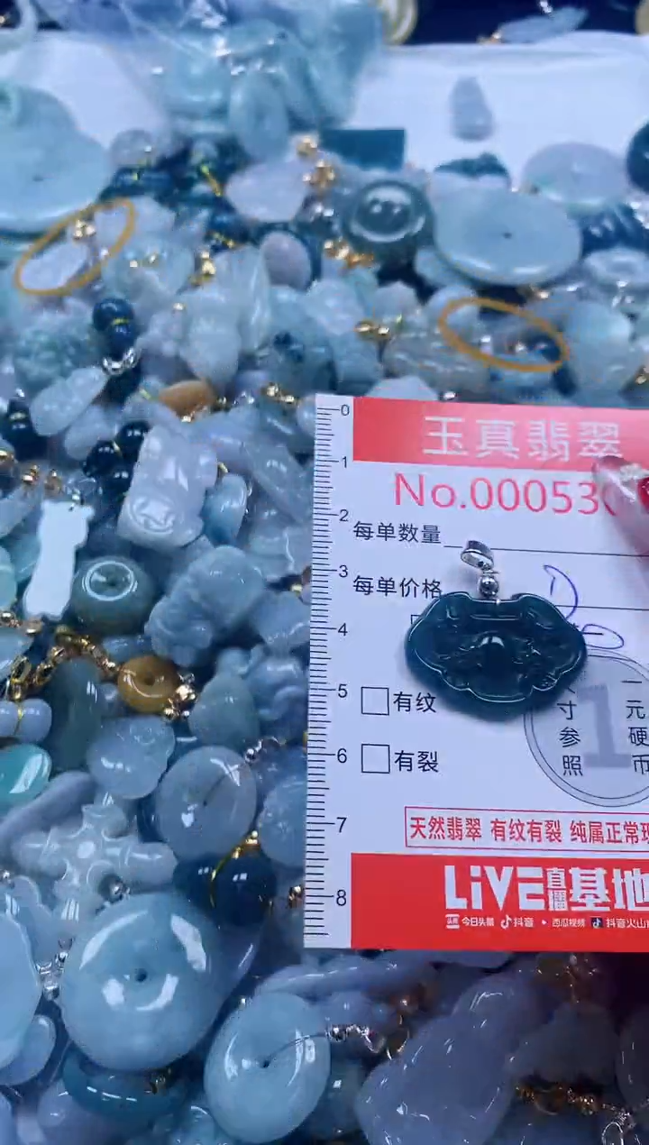翡翠未镶嵌吊坠(不含链)5309