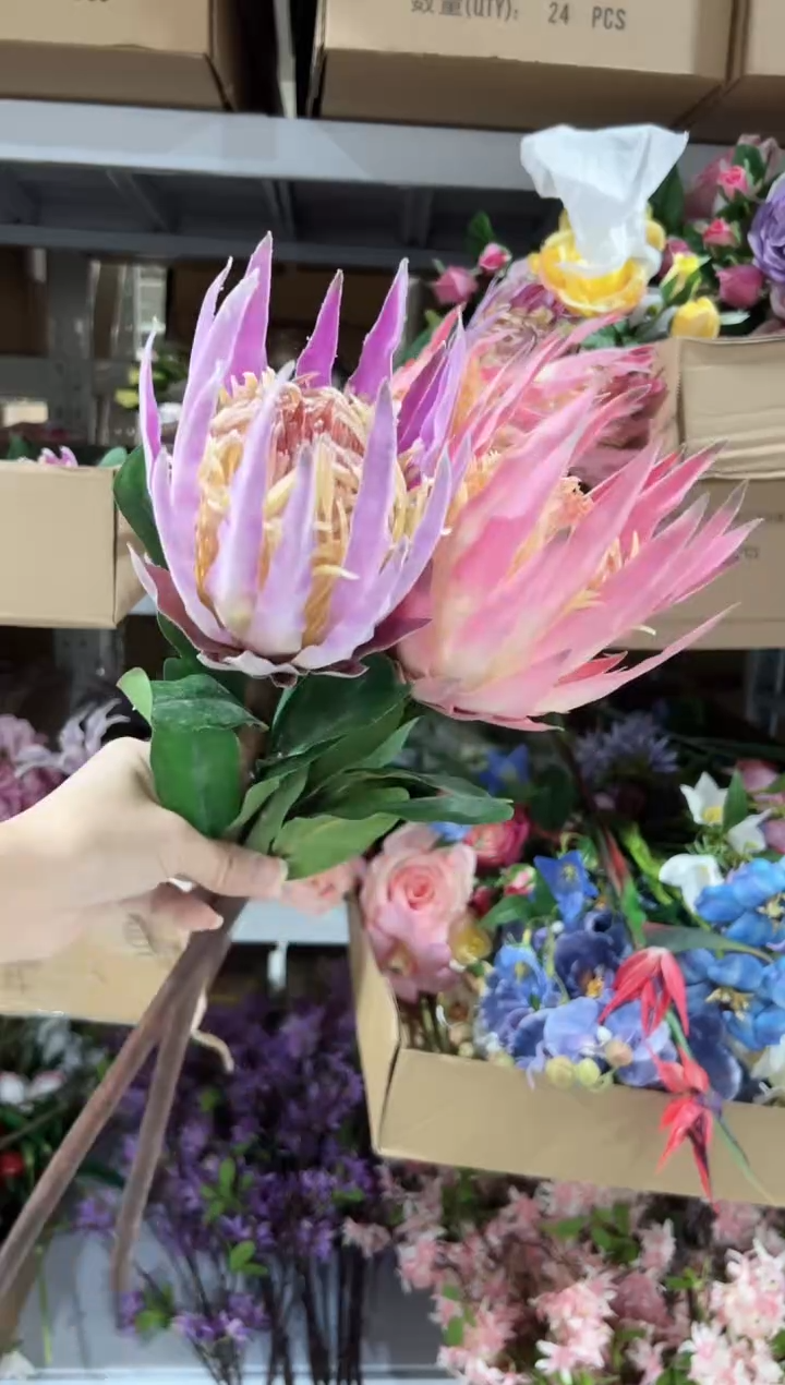 2枝混色大帝王    