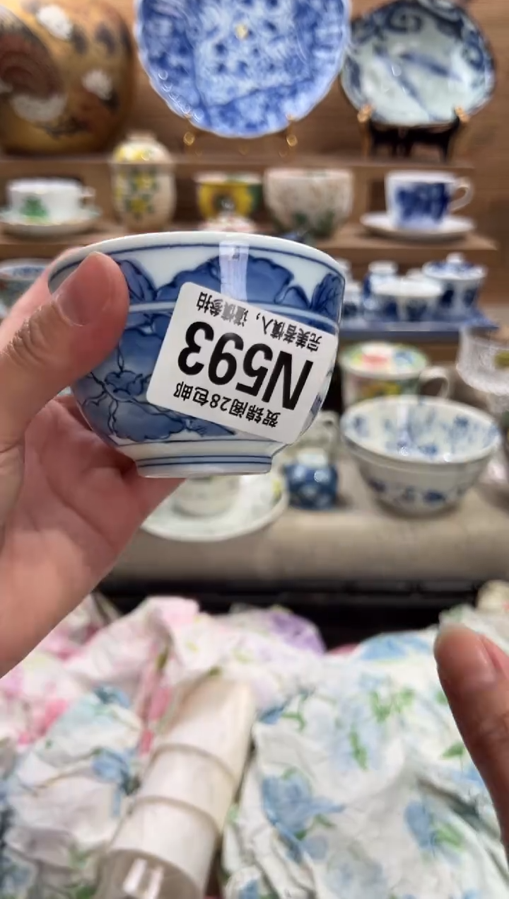 瓷片红*瑚      N593