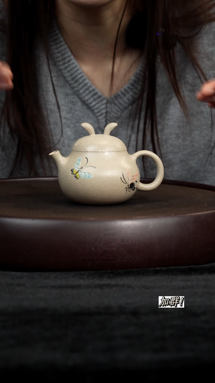 茶壶紫砂TRF白皮龙兔子180cc