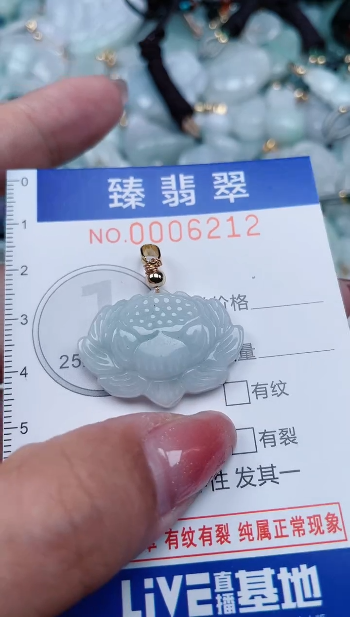 【闪购商品】翡翠颈饰未镶嵌.0006212