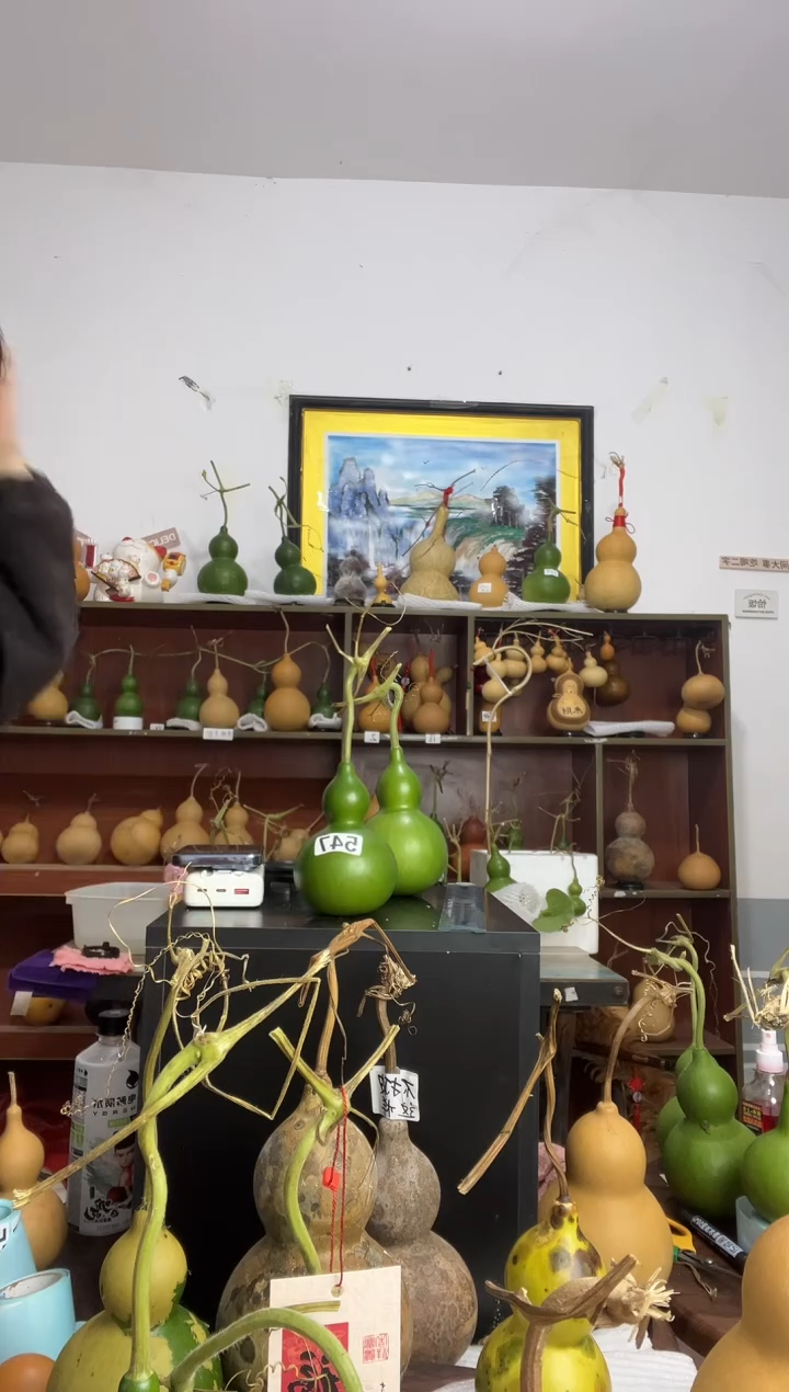 童*米547天然葫芦摆件 一物一拍龙头不保售后