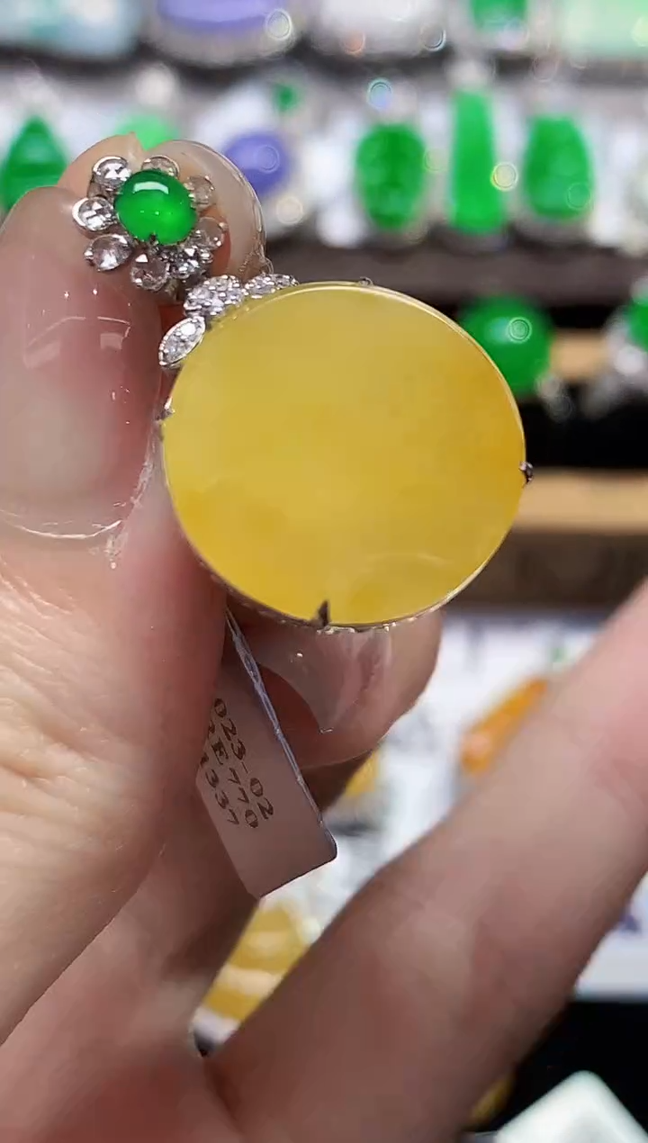 吊坠(不含链)18K金镶嵌翡翠LSR多样性发其一