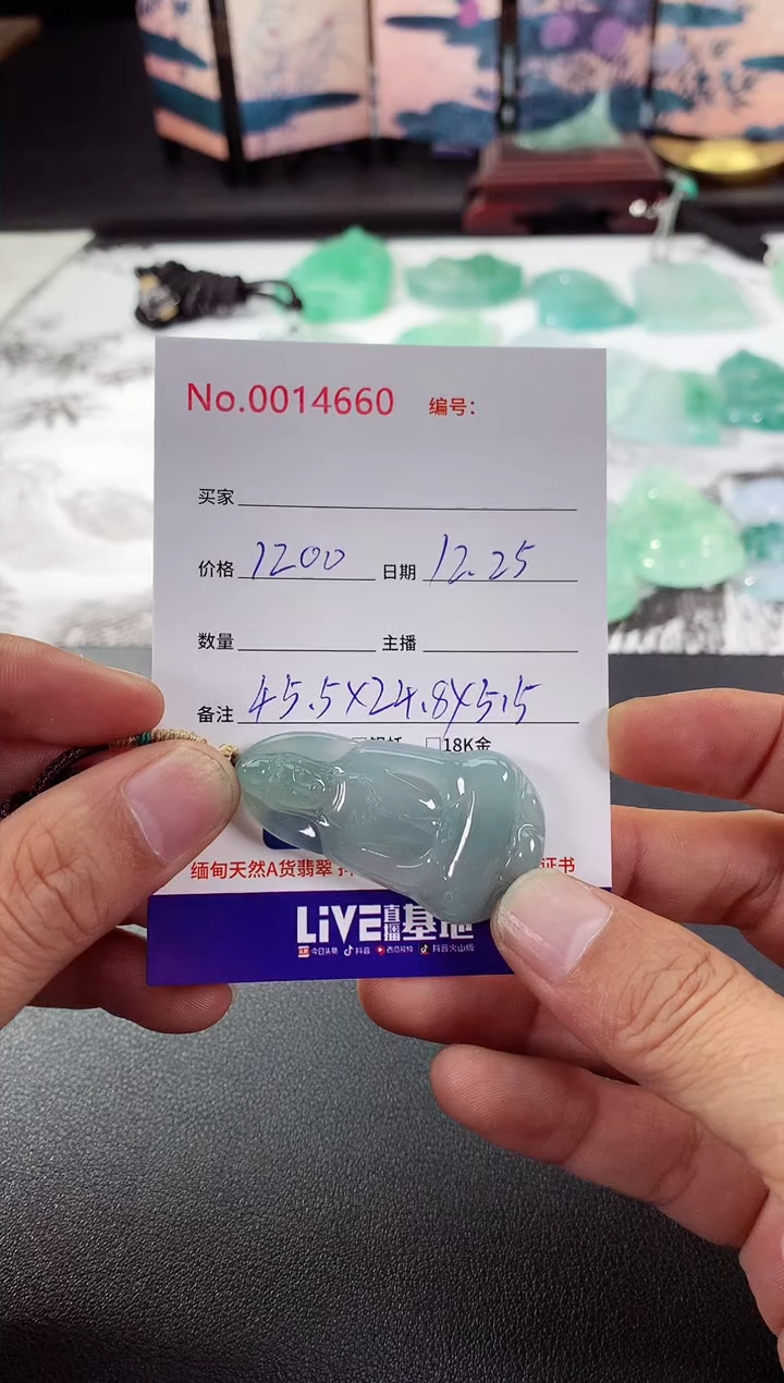 颈饰未镶嵌翡翠素衣