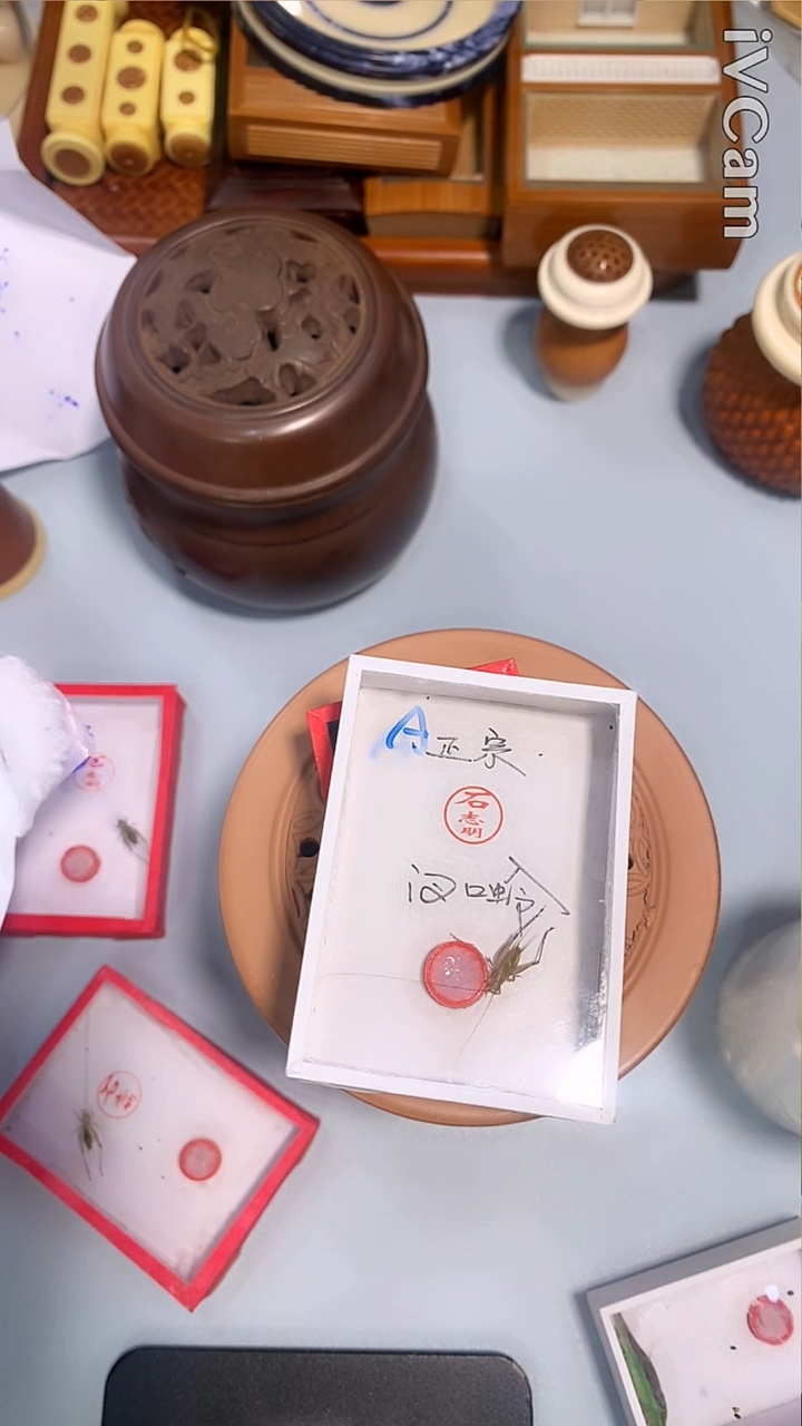 石志明沪A新蜕一条汊口